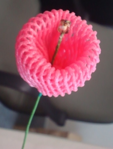 Bunga Terompet Pink
